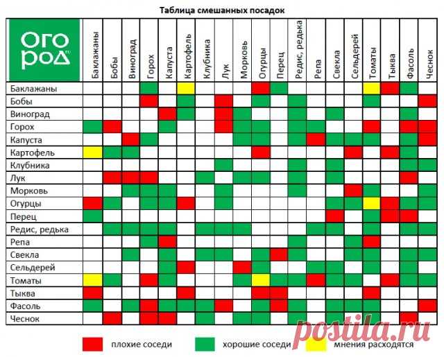 Смешанные посадки: выбираем лучших соседей для растений | Все о грядках (Огород.ru)