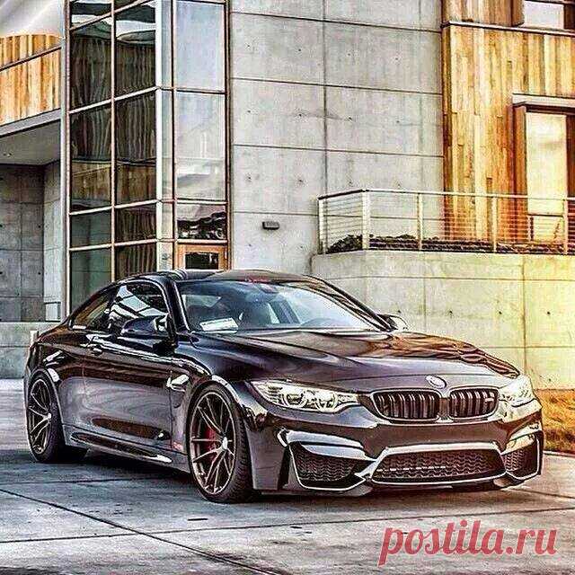 (79) Елена Петрова - #BMW M4 Beast