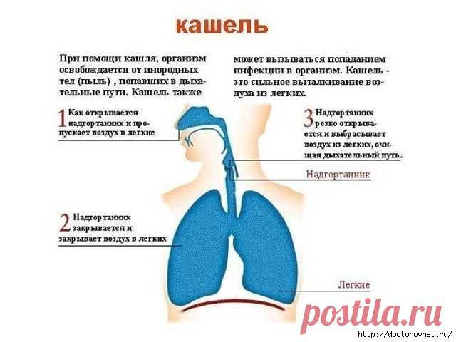 Советы и рецепты для Вашего здоровья