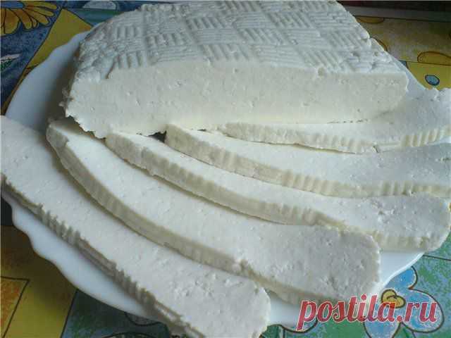 Адыгейский сыр - самый простой рецепт