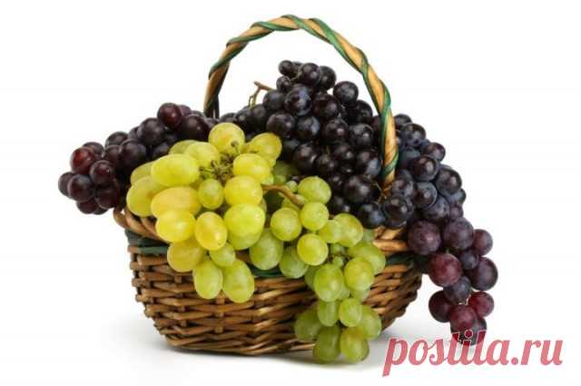 Как сохранить виноград – способы и методы хранения