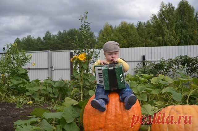 Первый парень на деревне :))