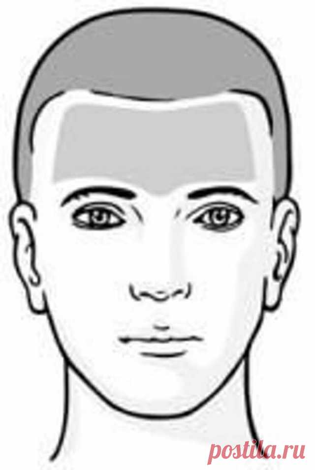 11 лба. Мужское лицо. Части тела лоб. Лицо (часть тела). Лоб схематично.