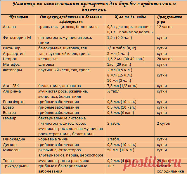 Сохрани себе! Поделись с друзьями!