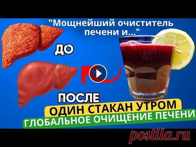 Сотрудничество - progresswayvideos@gmail.com ✎﹏﹏﹏﹏﹏﹏﹏﹏﹏﹏﹏﹏﹏﹏ ➤ВНИМАНИЕ! Канал носит исключительно информационный характер. Все рекомендации должны быт...