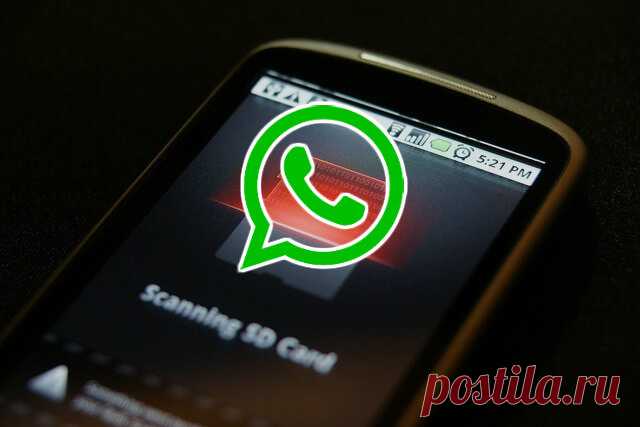 Как WhatsApp забивает память смартфона и что делать? | AndroidLime