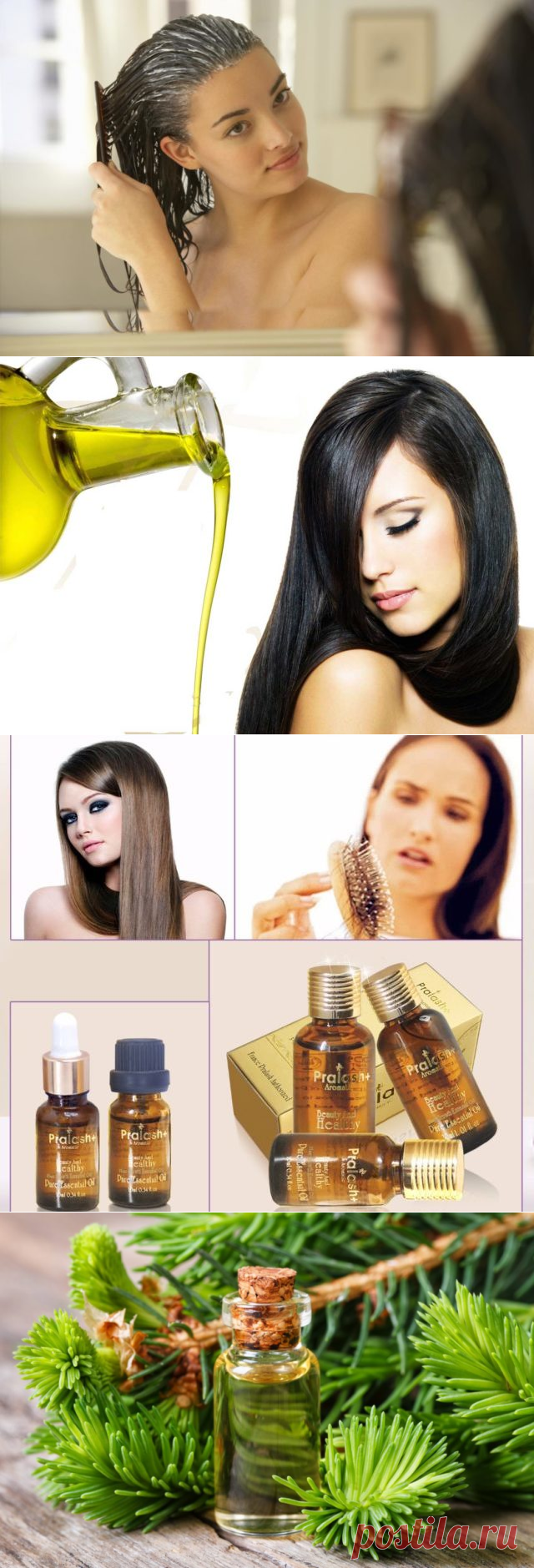 Эфирное масло сосны для волос: применение, отзывы