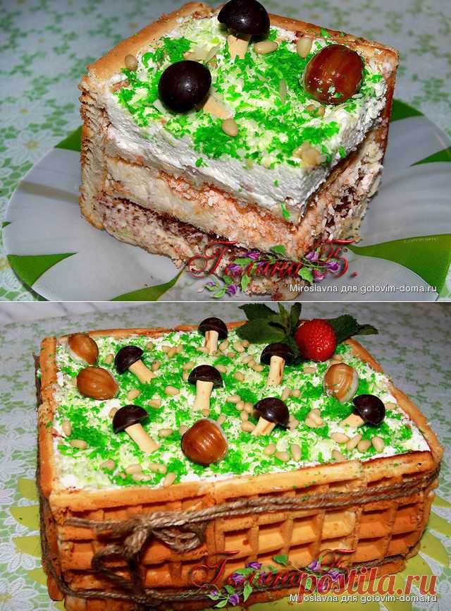 Легкий тортик "Лесное лукошко" Автор: Miroslavna
