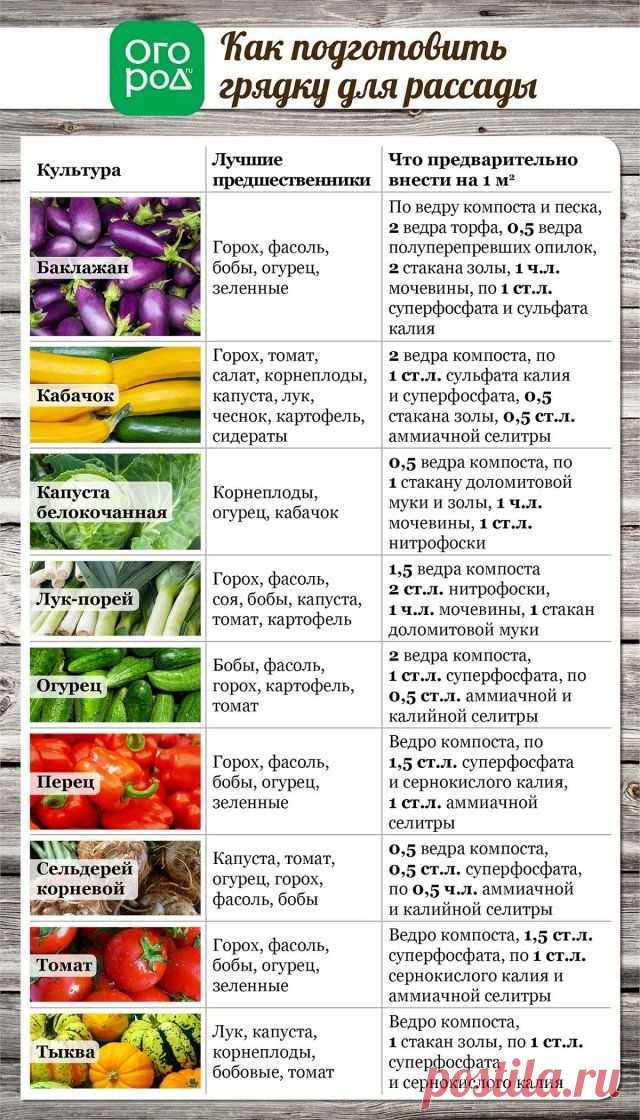 Все, что вы хотели знать о высадке рассады в грунт (в таблицах) | Рассада (Огород.ru)