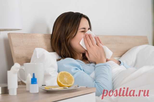Ошибки «Антивируса». Как нельзя лечиться от гриппа | Здоровая жизнь | Здоровье | Аргументы и Факты
