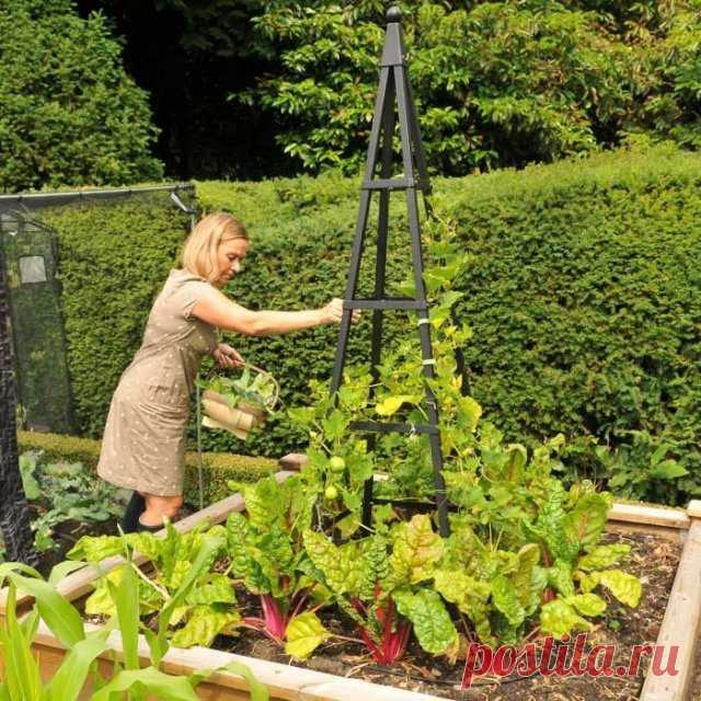 Опоры для растений своими руками – 15 отличных вариантов для сада и огорода