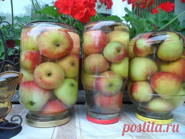 Яблоки мочёные - самый простой рецепт
