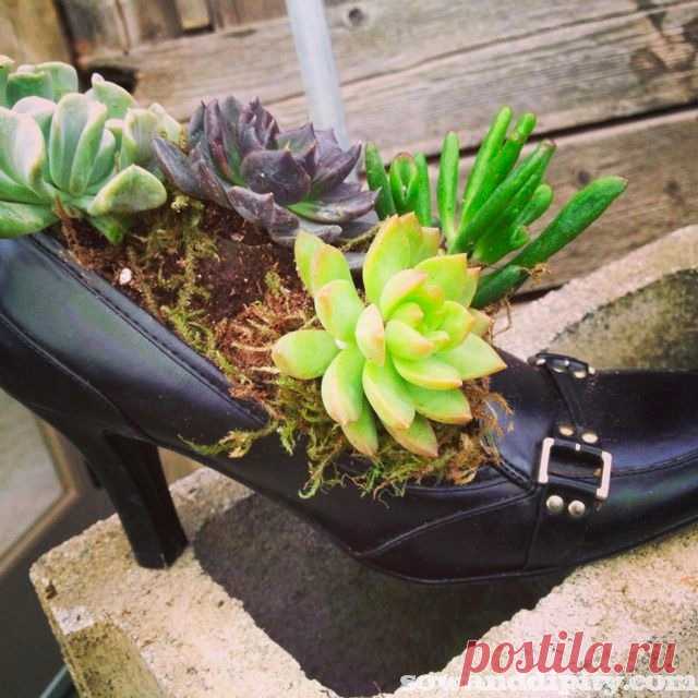 20 Succulent Planters You'll Love -