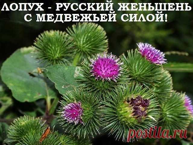 (5) Одноклассники