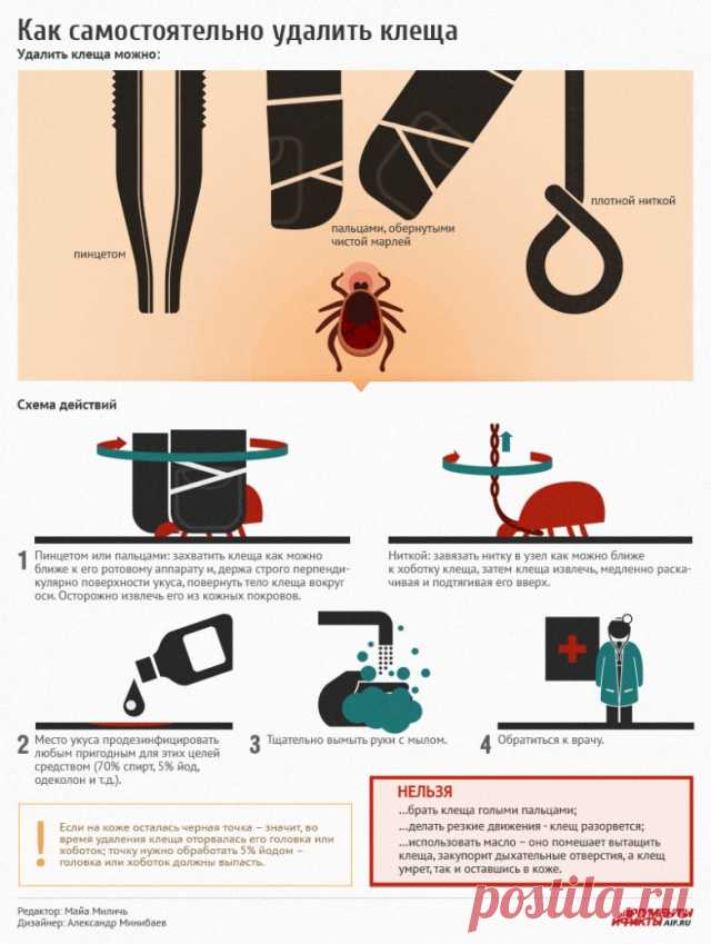 Клещи проснулись! / Будьте здоровы