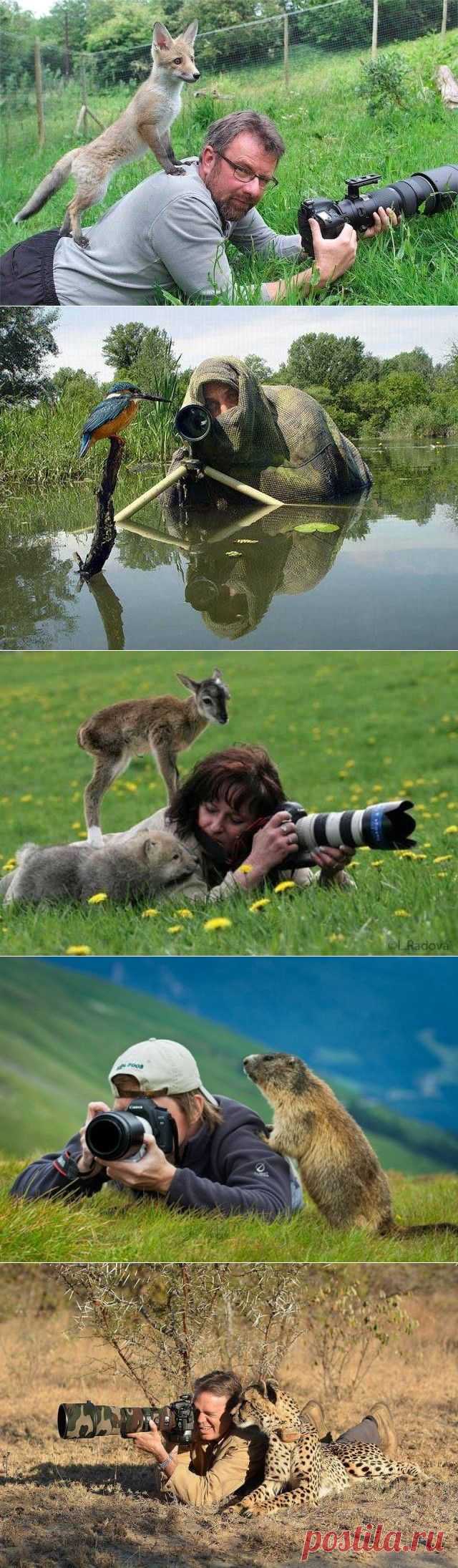 Хороший фотограф всегда в центре внимания