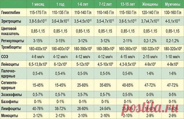 9 ПОКАЗАТЕЛЕЙ КРОВИ, КОТОРЫЕ РАССКАЖУТ ВСЕ О ВАШЕМ ЗДОРОВЬЕ | OK.RU