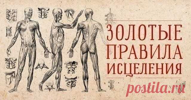 «Эти золотые правила самоисцеления работают лучше лекарств…»

Человеческий организм — сложнейшая из систем. Порой мы даже и не догадываемся, на что способны. Сила слова и человеческой мысли обладают невообразимой исцеляющей энергетикой, и, кажется, бесполезно лечить какое-либо заболевание без исцеления духовного. Для того чтобы запустить исцеляющие силы организма, нужно повысить уровень внутренней жизненной энергии. Тогда ты сможешь успешно победить недуг и восстановить здоровье!