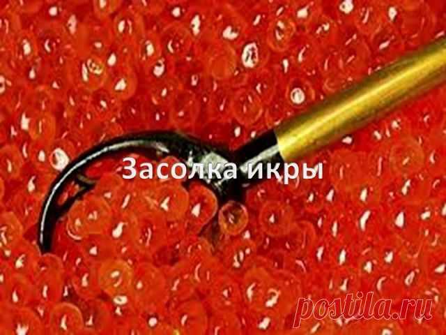 Засолка икры