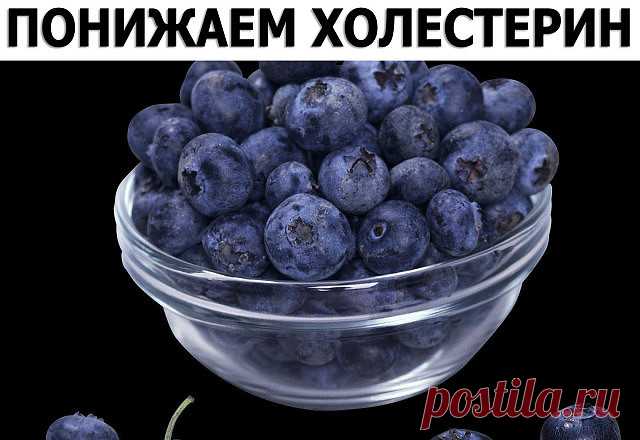 ПОНИЖАЕМ ХОЛЕСТЕРИН
1. ВИШНЯ. Американские исследователи недавно обнаружили, что ежедневное употребление вишни снижает не только холестерин, но и риск заработать диабет и артрит. Причём употреблять ягоду не обязательно свежей — сойдут варенья, компоты и даже повидло. Чем темнее цвет вишни, тем лучше, потому что целебным эффектом обладает пигмент, придающий вишне её красный оттенок.
2. АРТИШОК. Экстракты из листьев этого растения традиционно использовались для лечения гастр...