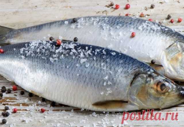 Как убрать лишнюю соль из рыбы? — Полезные советы