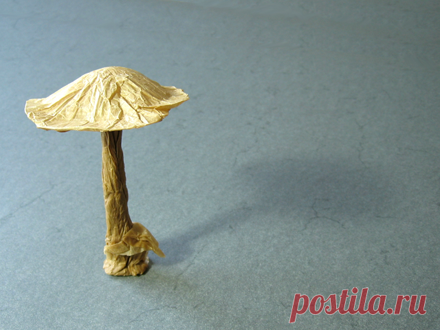 Mushroom (Vincent Floderer): Crumpling | Happy Folding