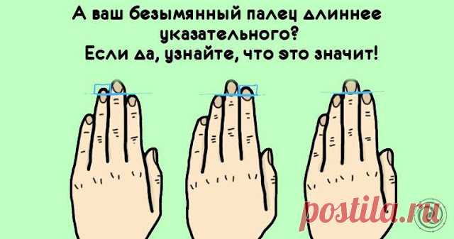 А ваш безымянный палец длиннее указательного?! Если да, то узнайте, что это значит! 


Достаточно посмотреть на свои ладони и вы можете многое узнать о себе. Многие ученые полагают, что отношение между указательным и безымянным пальцем указывает, какому количеству тестерона мы были п…