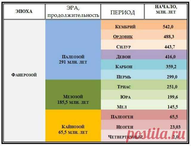 Зачем мы это зубрили?! 6 потрясающих мнемонических правил, которым не учат в школе