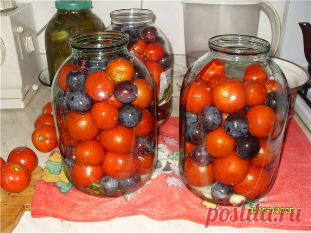 помидоры со сливами| Записи с меткой помидоры | Дневник nadezhda_65
