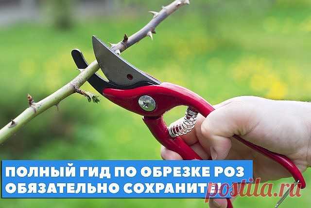 (47) Одноклассники