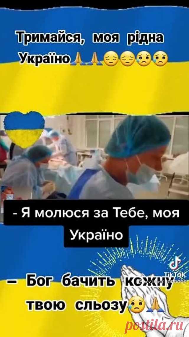 Раствор для чистки всего