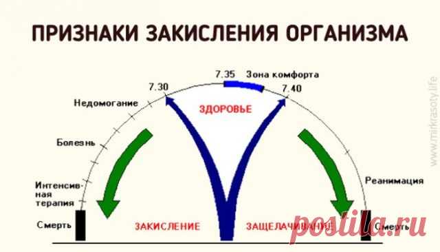 4 тревожных признака, что ваш организм закислен (и как с этим бороться)