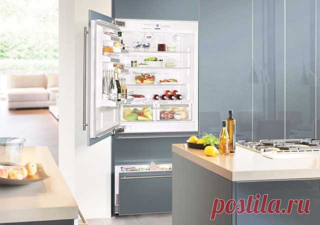 ​10 простых правил ухода за холодильником — Полезные советы