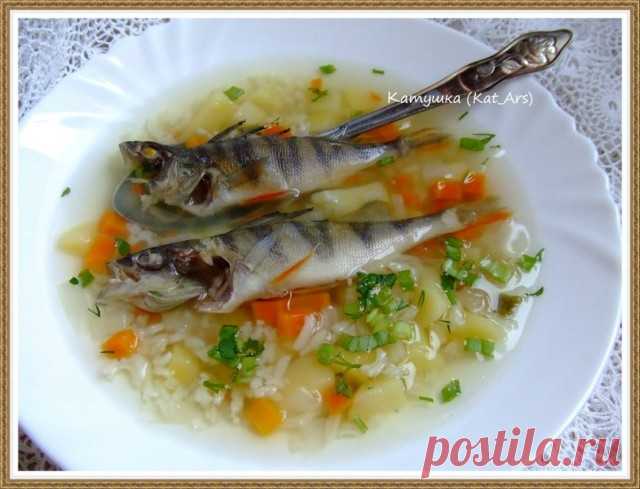 Суп рыбный из окушков с рисом | Русская кухня