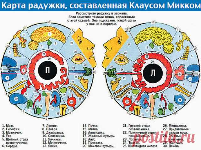 Как определить болезнь по глазам, 19 признаков — Полезные советы