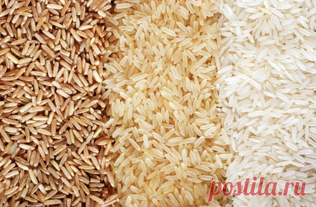 Варим вкусный рис: правила и секреты, о которых вы не знали — Полезные советы