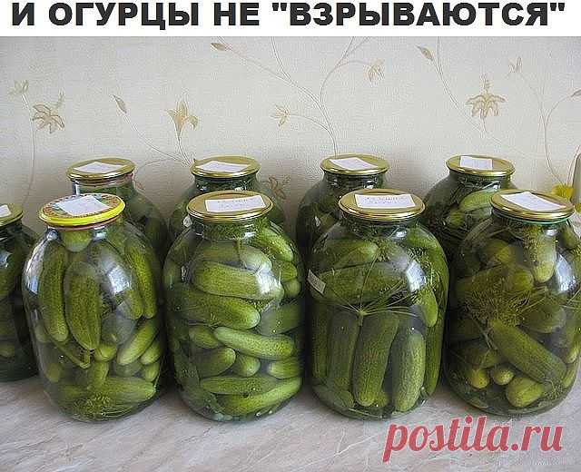 Огурцы не взрываются.