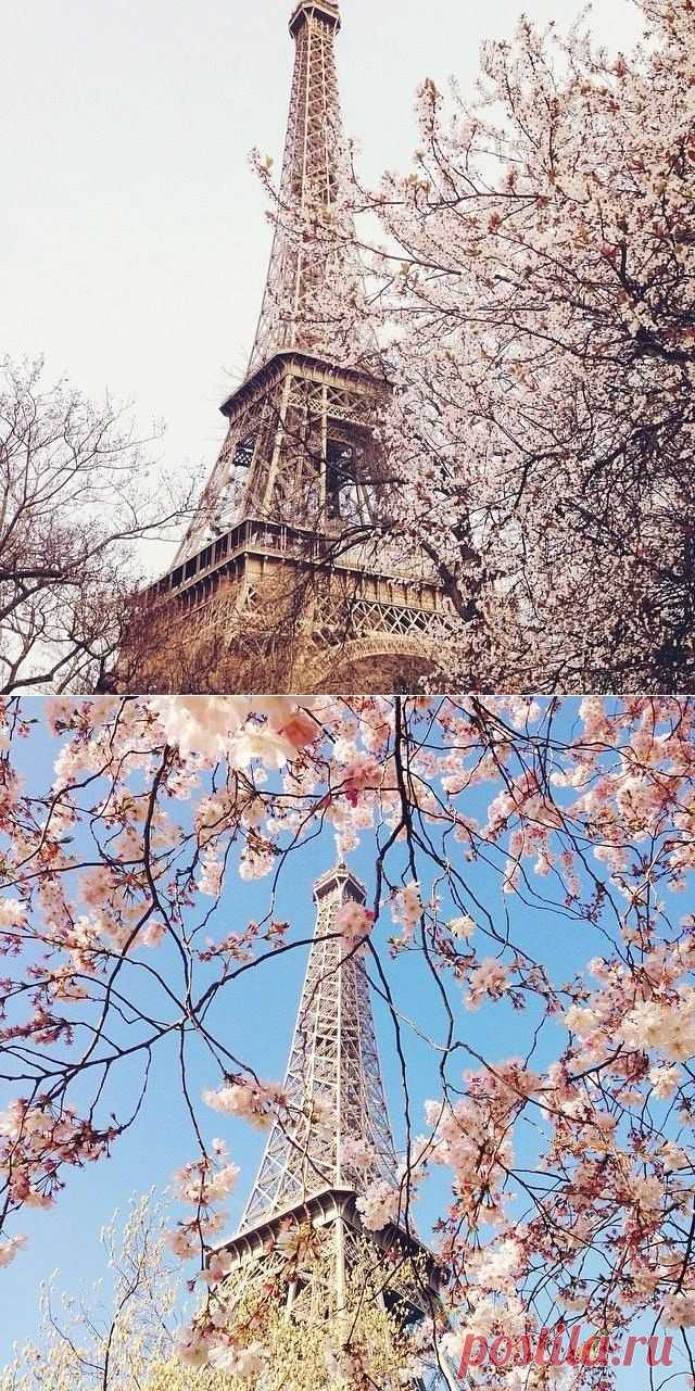 Весна в Париже - Удивительные места - 11:35 14.05.2014 - Republer.net