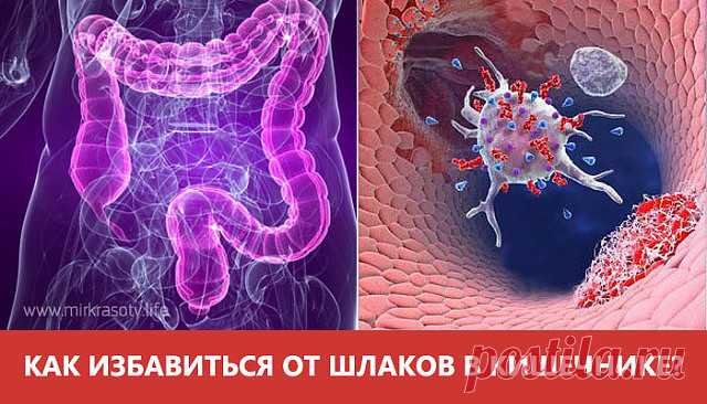 Целебный отвар для чистки кишечника