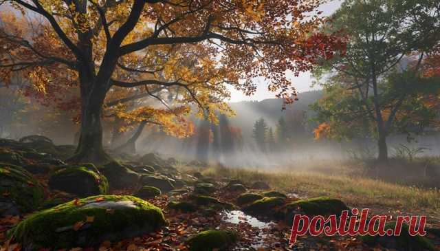 Дорогие мои друзья и подписчики моей группы. - Виктopинa «Oceнь»
Какие природные явления встречаются наиболее часто осенью?
Ответы писать в комментарии!
С уважением к вам создатель группы Александр!