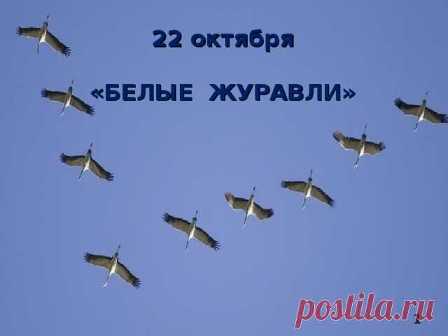 Стая белых журавлей кружится,
Устремляясь все куда-то в даль.
Мы не знали, что такая птица
Может вызывать в душе печаль. Открытки на День белых журавлей!