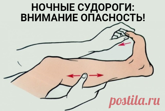 НОЧНЫЕ СУДОРОГИ: ВНИМАНИЕ ОПАСНОСТЬ! - ХОЗЯЮШКА24 До 60% взрослых людей сталкивались с неприятным и часто болезненным явлением, при котором ноги ночью сводит, что нередко вызывает бессонницу. Судороги (спазм) Это внезапное, непроизвольное сжатие мышц в...