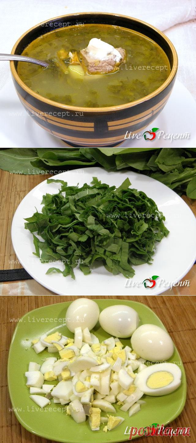 Суп с мясом и щавелем- рецепт с пошаговыми фотографиями Суп с мясом и щавелем из раздела Первые блюда кулинарной книги сайта Live Рецепт | LiveRecept.ru