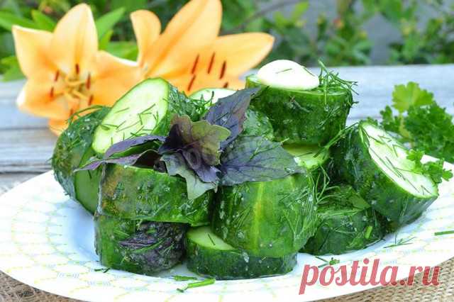 Малосольные огурцы за 5 минут в мешке рецепт с фото - 1000.menu