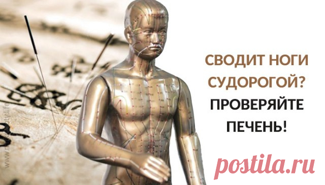 СВОДИТ СУДОРОГОЙ НОГИ? СОВЕТ: ПРОВЕРЬТЕ ПЕЧЕНЬ! Врачи древнего Китая оставили нам такой богатый и простой в применении справочник. Такое замечательное подспорье, которое мы только начинаем открывать для