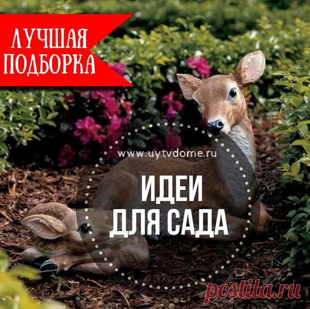 Более 190 самых лучших идей для сада своими руками С наступлением теплых деньков каждый хозяин частных владений стремится как-то преобразить свой садовый участок. На первый взгляд, кажется, ну что интересного, кроме клумб можно привнести в свой дачный участок или частотное подворье. На самом деле идей по облагорожению участка масса, и в данном обзоре мы представим целую «стопочку» самых ярких и интересных вариантов. После изучения …