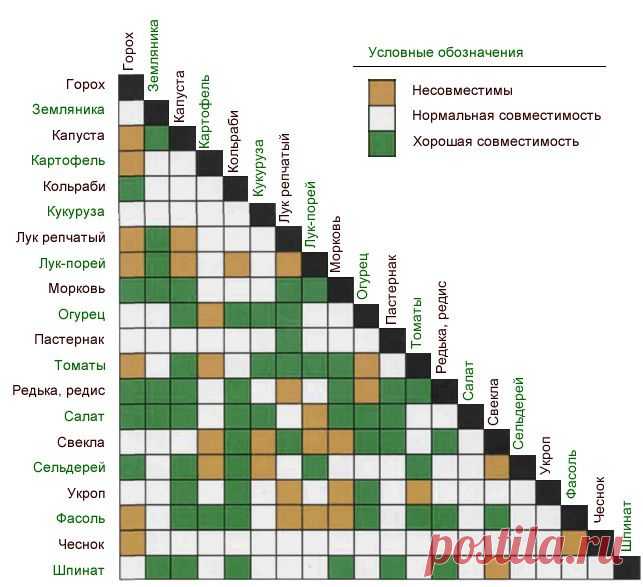 Совместимость растений.