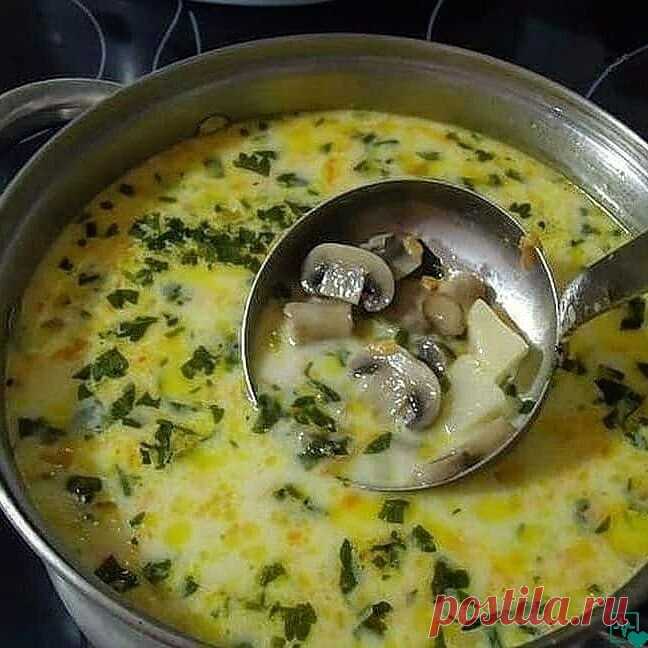Самый вкусный грибной сливочный суп!🤤 Сочетание сливок, плавленого сыра и грибов — так вкусно, просто пальчики оближешь.