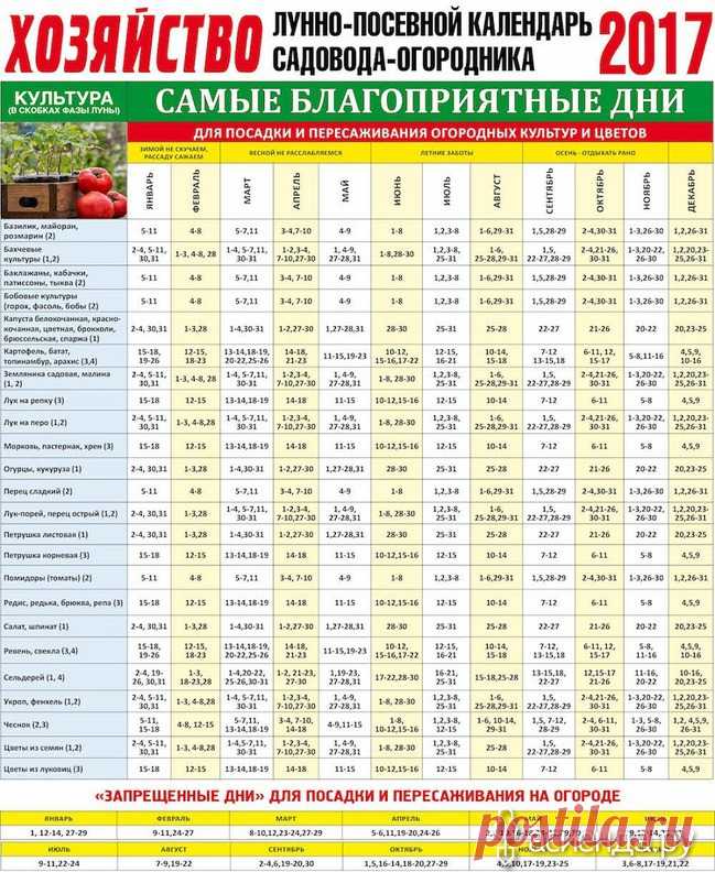 Лунно-посевной календарь на 2017 год: Группа Практикум садовода и огородника