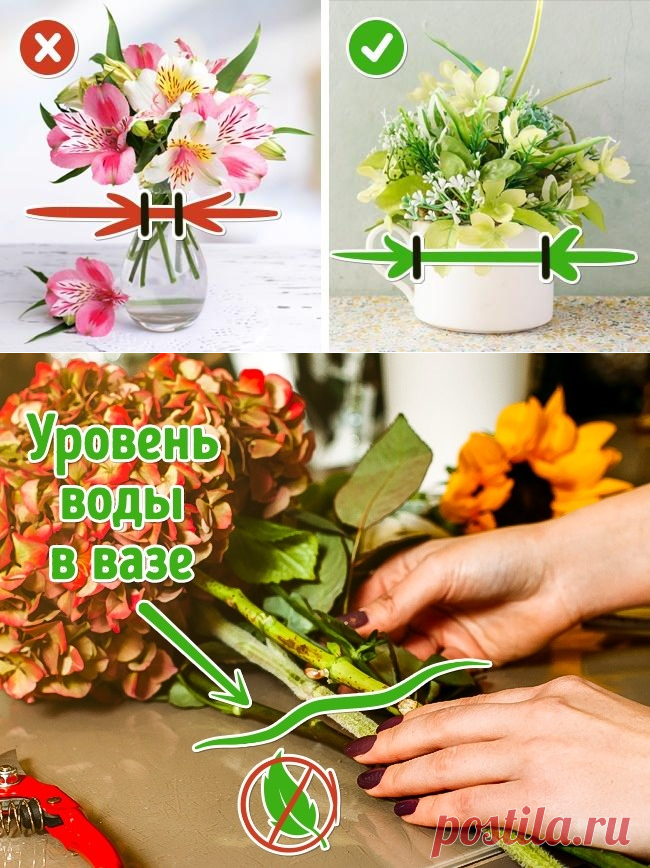 10 способов сохранить цветы в вазе свежими надолго